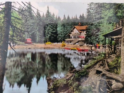 Ansichtskarte arbersee mit - ansichtskarte,