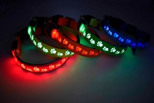 LED Halsband Hund Pfote