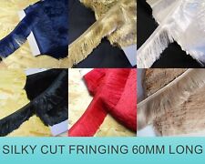 Schnitt Fransen 60mm fein