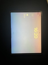 iPad Pro 12,9 Zoll 256GB