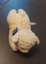 niedliches kleines Schaf / Lamm  -  ohne Kühlakku