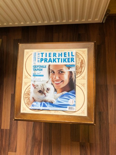 Mein tierheilpraktiker - mein,