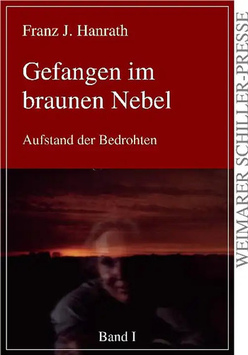 Gefangen braunen nebel - im,