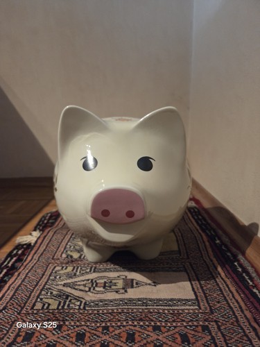 Xxl sparschwein alt und - alt, sehr