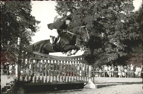 Reitsport pferdesport - reitsport,