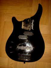 Voll geladen Tanglewood Rebel