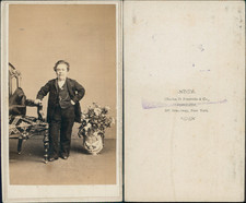 Friedricks new york zwerg - friedricks,, york,