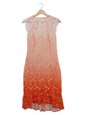 Lipsy Damen Festliches Kleid Spitze Ombre Mehrfarbig Elegant Gr. 38