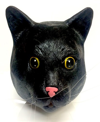 Coopers schwarze katze - katze, maske