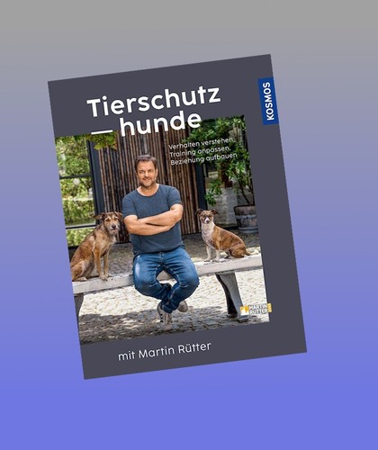 Tierschutzhunde martin rütter - tierschutzhunde,
