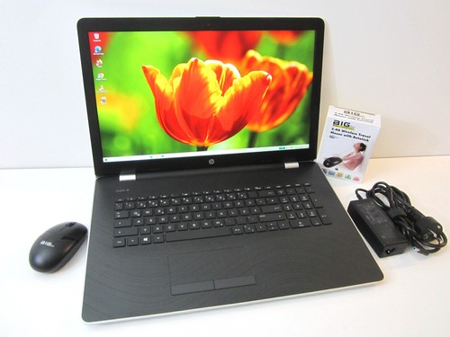 Fullhd display - 17,3",