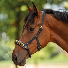 BUSSE Schwarz/ Messing VB/WB Kappzaum Anatomix