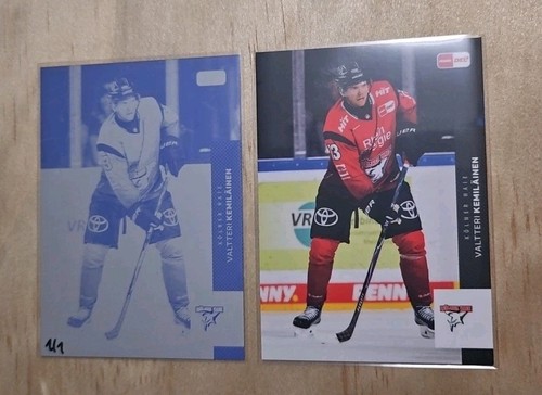 Del eishockey tradingcard - eishockey,