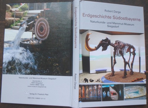 Fossilien ammonit geologie - ammonit,