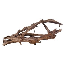 XXL Mangrovenwurzel Nr.2924