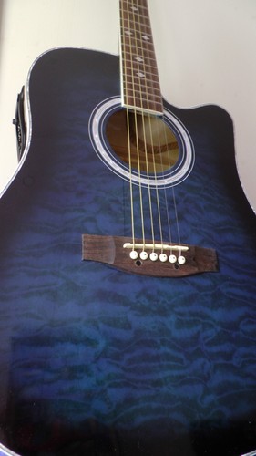 Indiana dreadnought acoustic - indiana,
