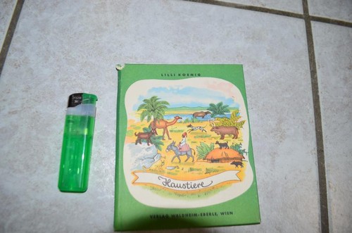 Bilderbuch lilli könig - lilli,