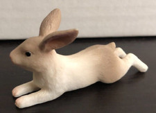 Mojo tier kaninchen hase zwerg - mojo,