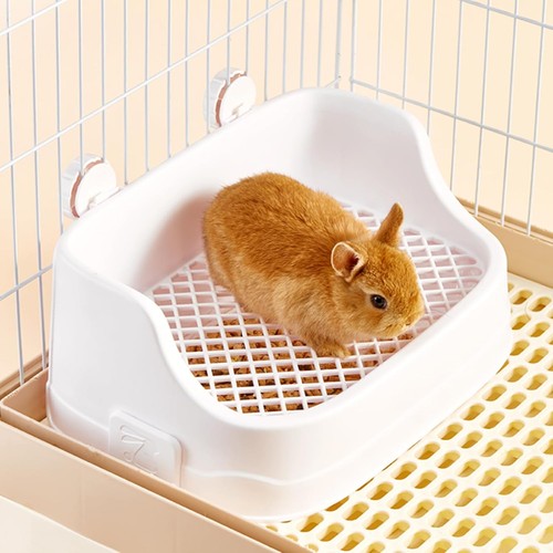 Kaninchen toilette - kaninchen,