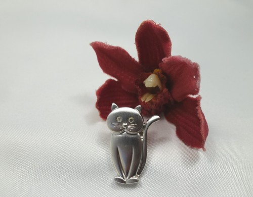 Pierre lang pin katze - pierre,