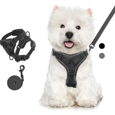 Katzengeschirr Leine Set