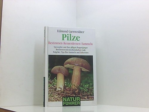Pilze bestimmen kennenlernen - pilze,