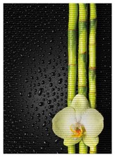 Wallario Duschmatte Bad Teppich Vorleger Grüne Orchidee Bambus schwarz