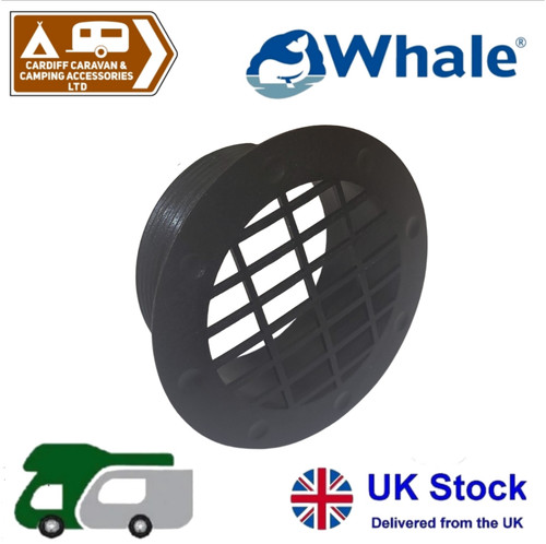 Whale truma - whale,