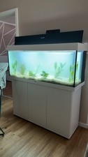  Aquariumkombination JUWEL Rio 240SBX (gebraucht)