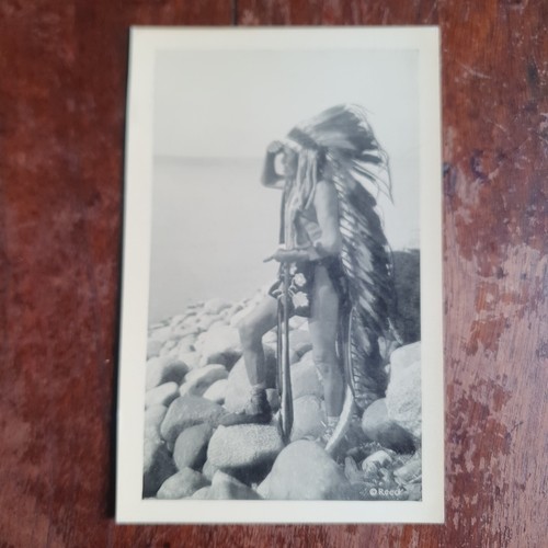 Reed indianer bilder - reed's,