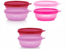 Tupperware Kleine Hitparade 6x 300 ml Set Dosenset Behälter Schüssel Kühlschrank