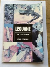 LEGUANE IM TERRARIUM JOHN