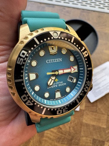 Citizen eco drive promaster - eco-drive,