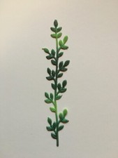 Verzierwachs ranke - verzierwachs,