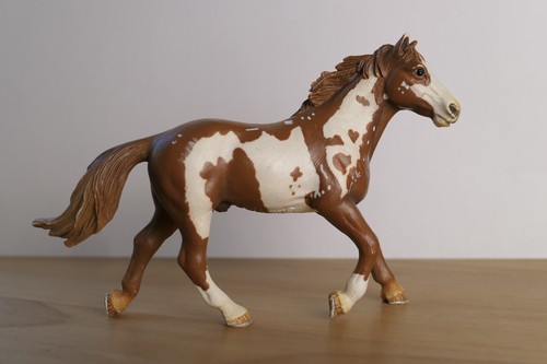 Schleich 13616 pinto - 13616, hengst