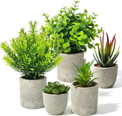 5er set künstliche eukalyptus - 5er,