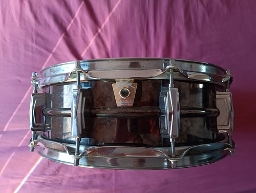 Ludwig black beauty - beauty, 14x5