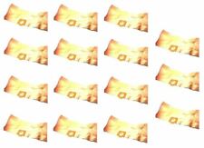 Ersatz Staubsaugerbeutel x 15 Für GOBLIN 500