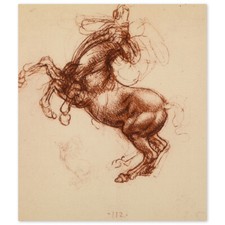 Leonardo da Vinci, Studie