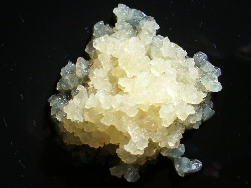 Ginger root plant - , wasserkefir