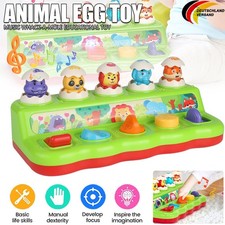 Pop up Baby Spielzeug ab 6