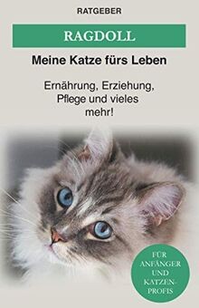 Ragdoll das katzen - ragdoll:,