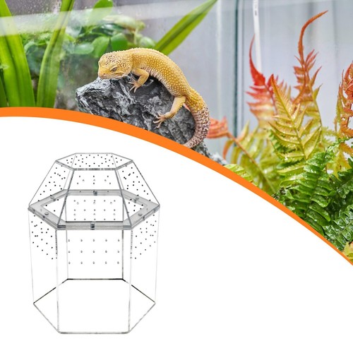 Reptilien terrarium - reptilien,