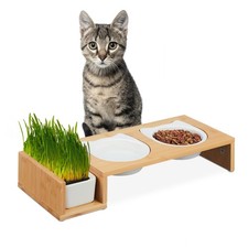 Katzen futterstation