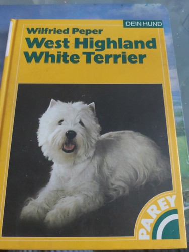West highland white - white, terrier