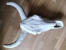 -Western- Stabiler Bisonkopf/Büffelkopf.