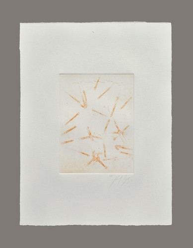 Ralf ziervogel original - ziervogel,