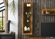 Wandschrank Regal Vitrine Wandregal Baumrinde Vintage massiv LED Beleuchtung