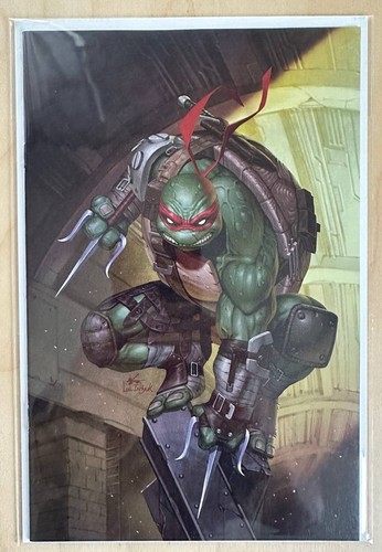 Idw tmnt teenage mutant - idw,