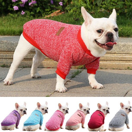Hundewelpen-Katzen-T-Shirt-Man